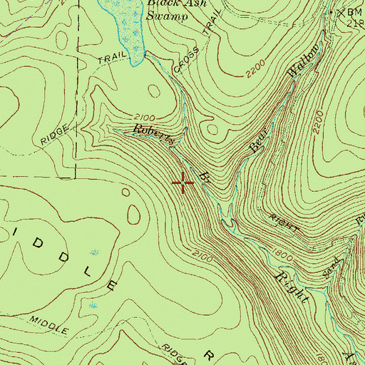 Topographic Map of Reese Trail, PA