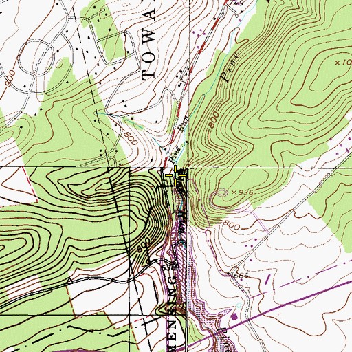 Topographic Map of Pine Run, PA