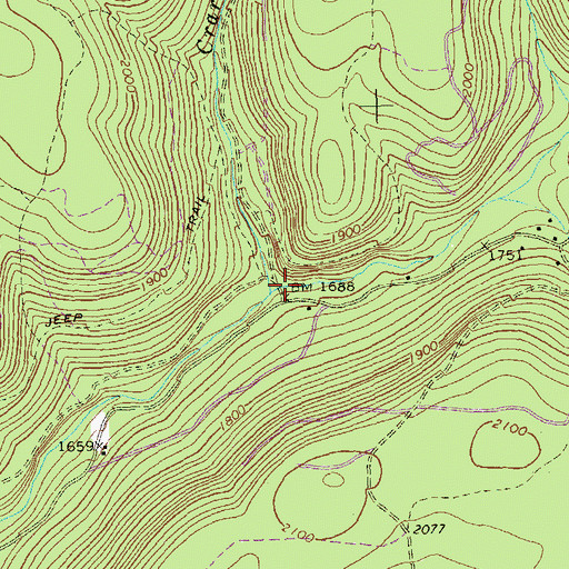 Topographic Map of Crary Run, PA