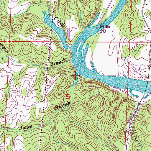 Topographic Map of Jones Branch, AL