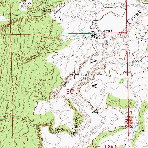 Topographic Map of Tabaha Well, AZ