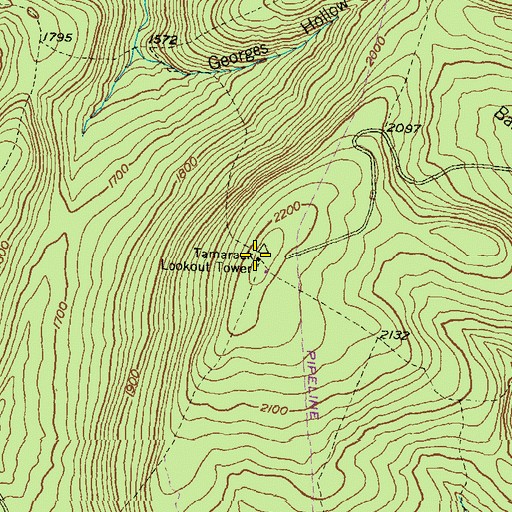 Topographic Map of Tamarack Lookout Tower, PA