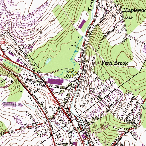 Topographic Map of Trout Brook, PA