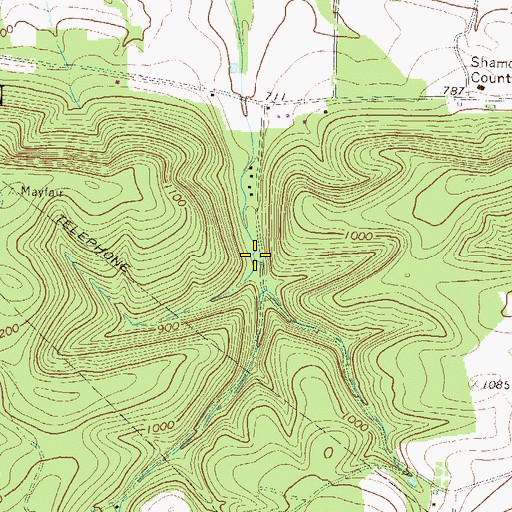 Topographic Map of Township of Shamokin, PA