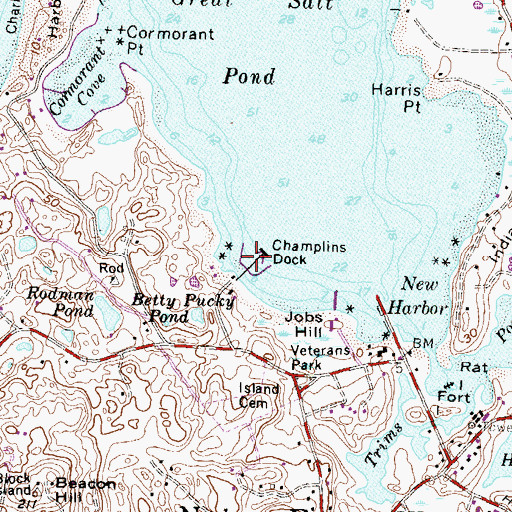 Topographic Map of Champlins Dock, RI