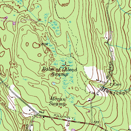 Topographic Map of Balm of Gilead Swamp, RI