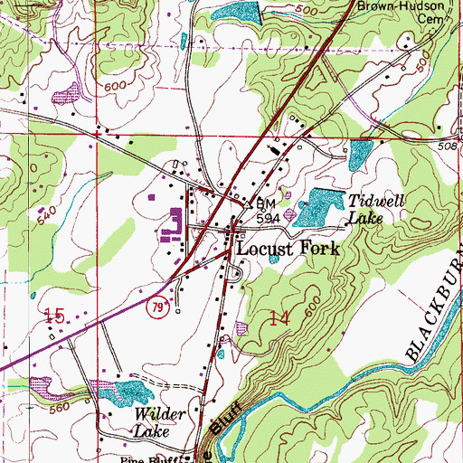 Topographic Map of Locust Fork, AL