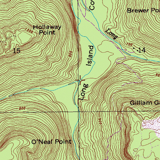 Topographic Map of Long Creek, AL