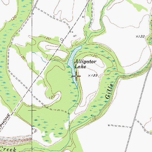 Topographic Map of Alligator Lake, SC