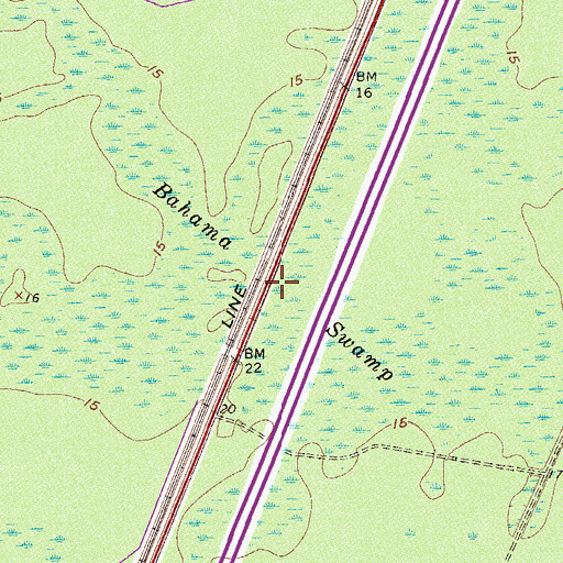 Topographic Map of Bahama Swamp, SC