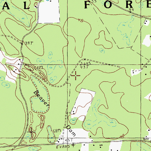 Topographic Map of Beaver Dam Swamp, SC