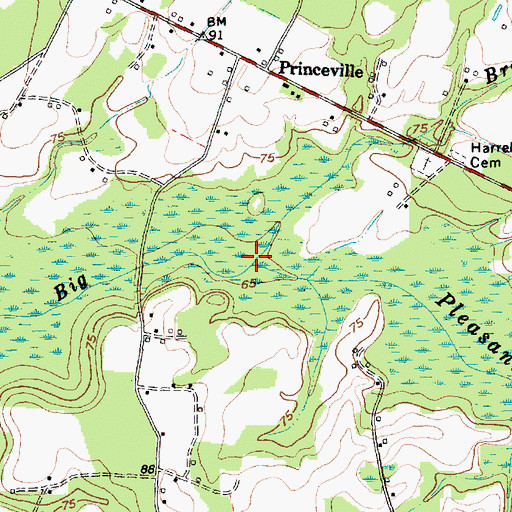 Topographic Map of Big Branch, SC