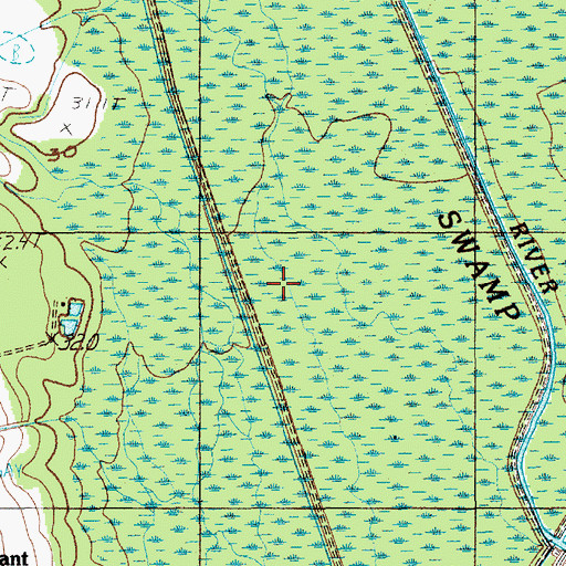 Topographic Map of Black River Swamp, SC