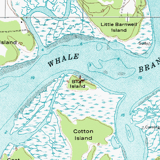 Topographic Map of Bluff Island, SC
