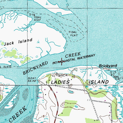 Topographic Map of Brickyard Point, SC