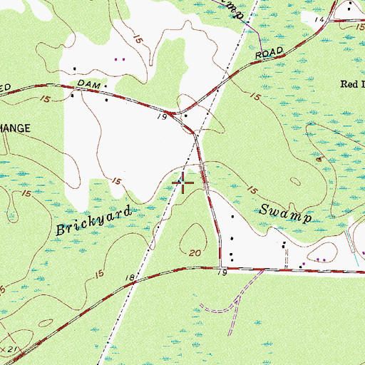 Topographic Map of Brickyard Swamp, SC