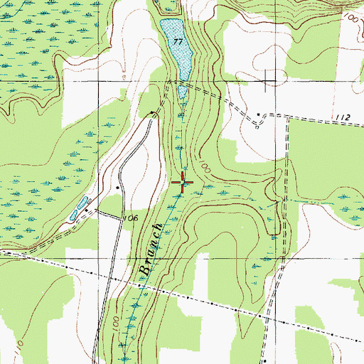 Topographic Map of Brunson Branch, SC