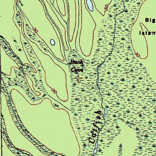 Topographic Map of Buck Cove, SC