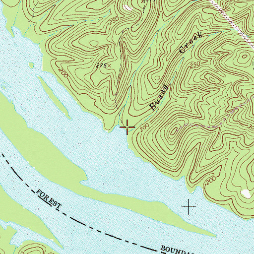 Topographic Map of Bussy Creek, SC