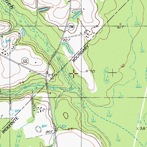Topographic Map of Cain Branch, SC