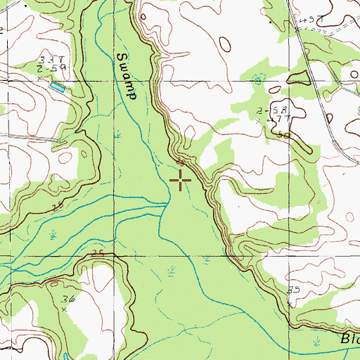 Topographic Map of Cedar Swamp, SC