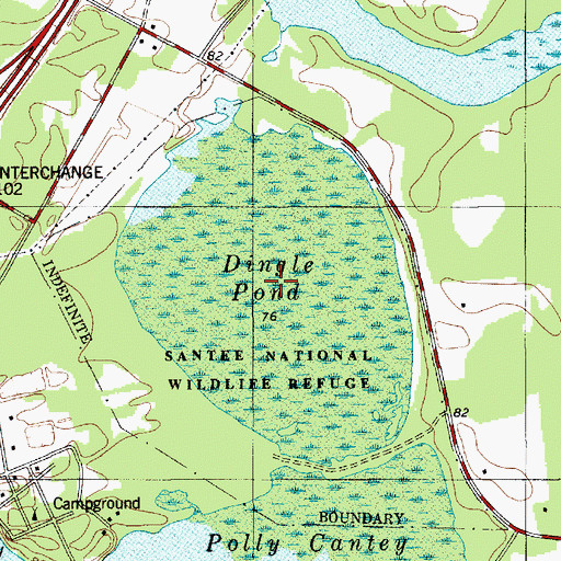 Topographic Map of Dingle Pond, SC