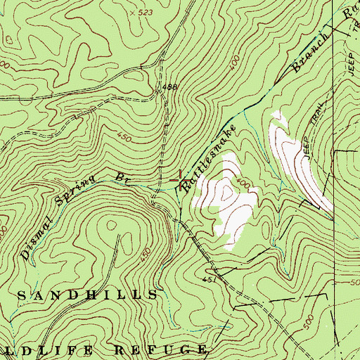 Topographic Map of Dismal Spring Branch, SC