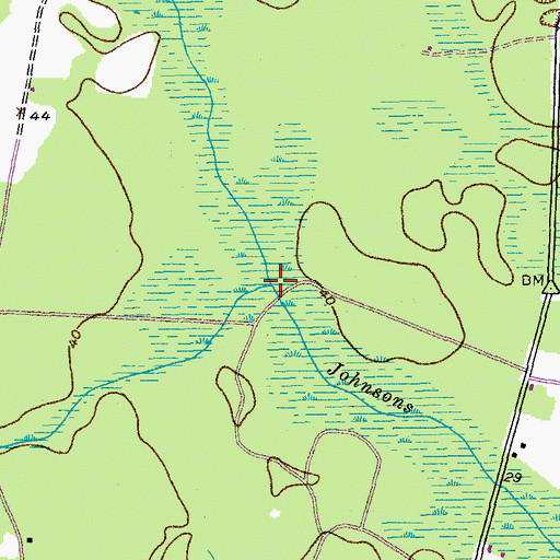 Topographic Map of Flat Swamp, SC
