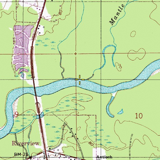 Topographic Map of Mantle Branch, AL