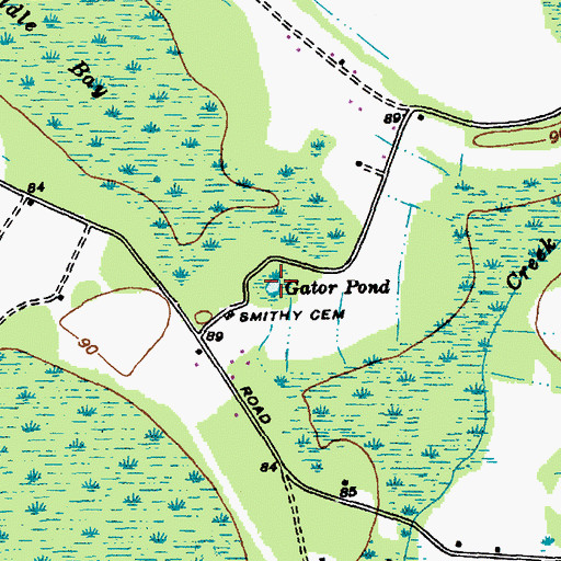 Topographic Map of Gator Pond, SC