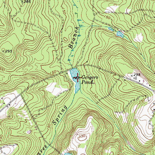 Topographic Map of Geigers Pond, SC