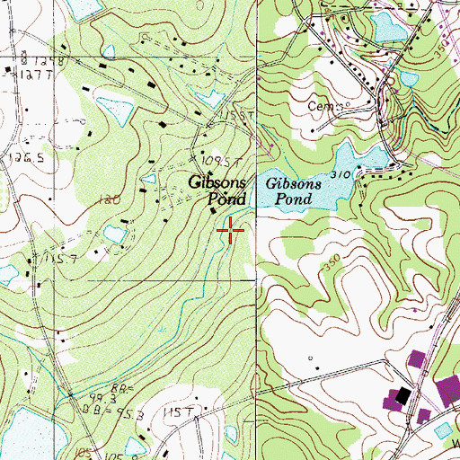 Topographic Map of Georges Pond, SC