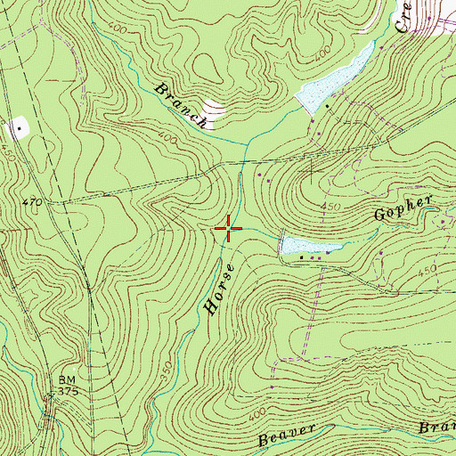 Topographic Map of Gopher Branch, SC