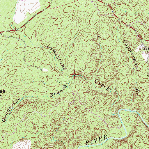 Topographic Map of Grapevine Branch, SC