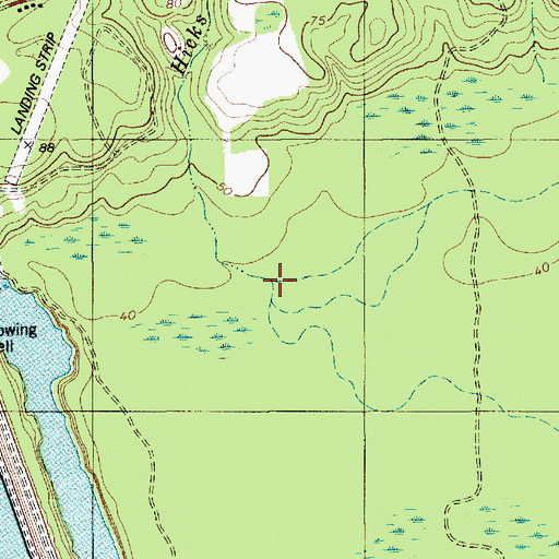 Topographic Map of Hicks Branch, SC