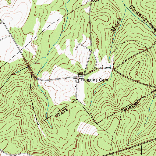 Topographic Map of Huggins Cemetery, SC