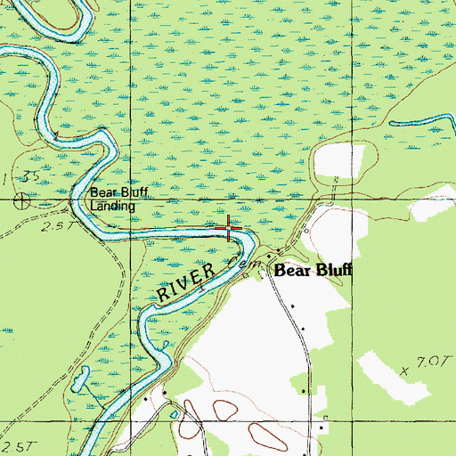 Topographic Map of Jones Big Swamp, SC
