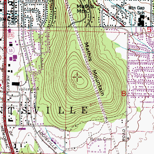 Topographic Map of Mathis Mountain, AL