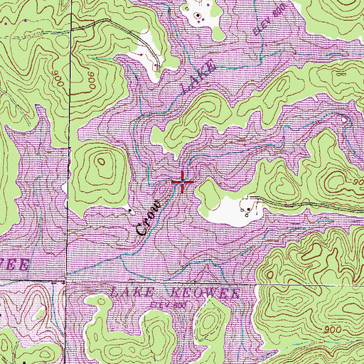 Topographic Map of Little Crow Creek, SC