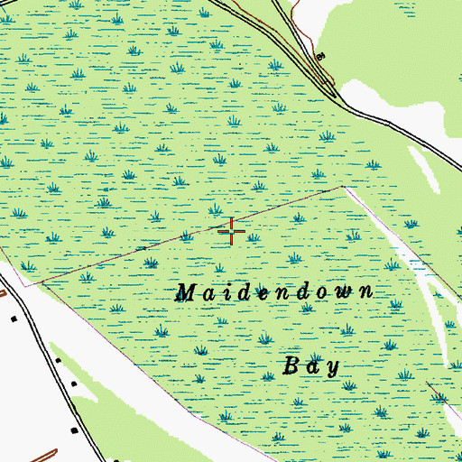 Topographic Map of Maidendown Bay, SC