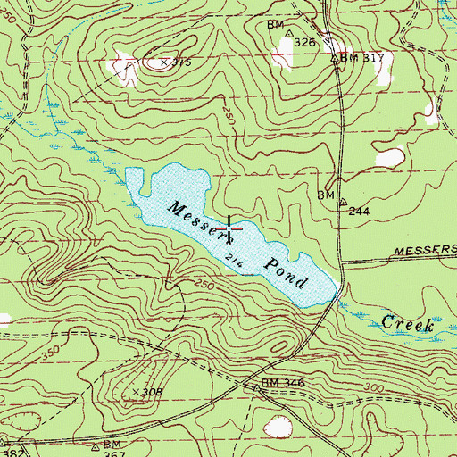 Topographic Map of Messers Pond, SC