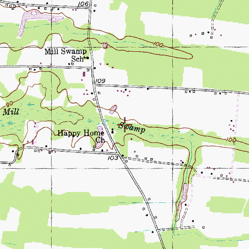 Topographic Map of Mill Swamp, SC