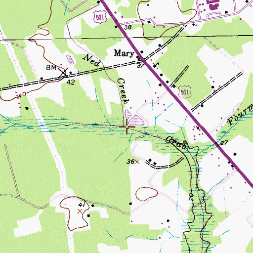 Topographic Map of Ned Creek, SC