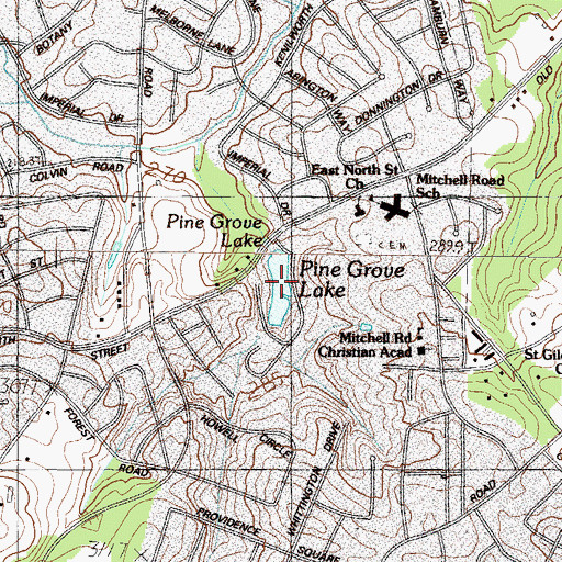 Topographic Map of Pine Grove Lake, SC