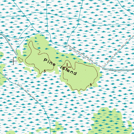 Topographic Map of Pine Island, SC