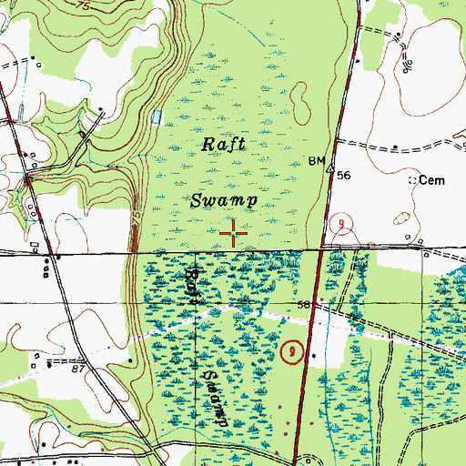 Topographic Map of Raft Swamp, SC