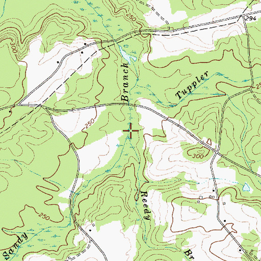 Topographic Map of Reedy Branch, SC
