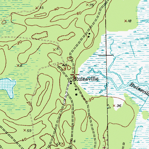 Topographic Map of Ruinsville, SC