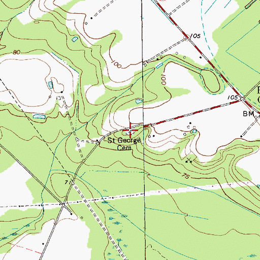 Topographic Map of Saint George Cemetery, SC