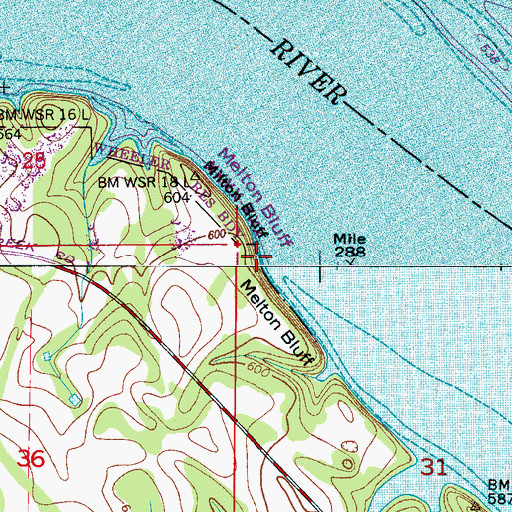 Topographic Map of Melton Bluff, AL